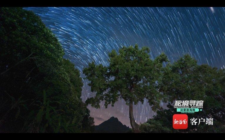 我是孙二谋