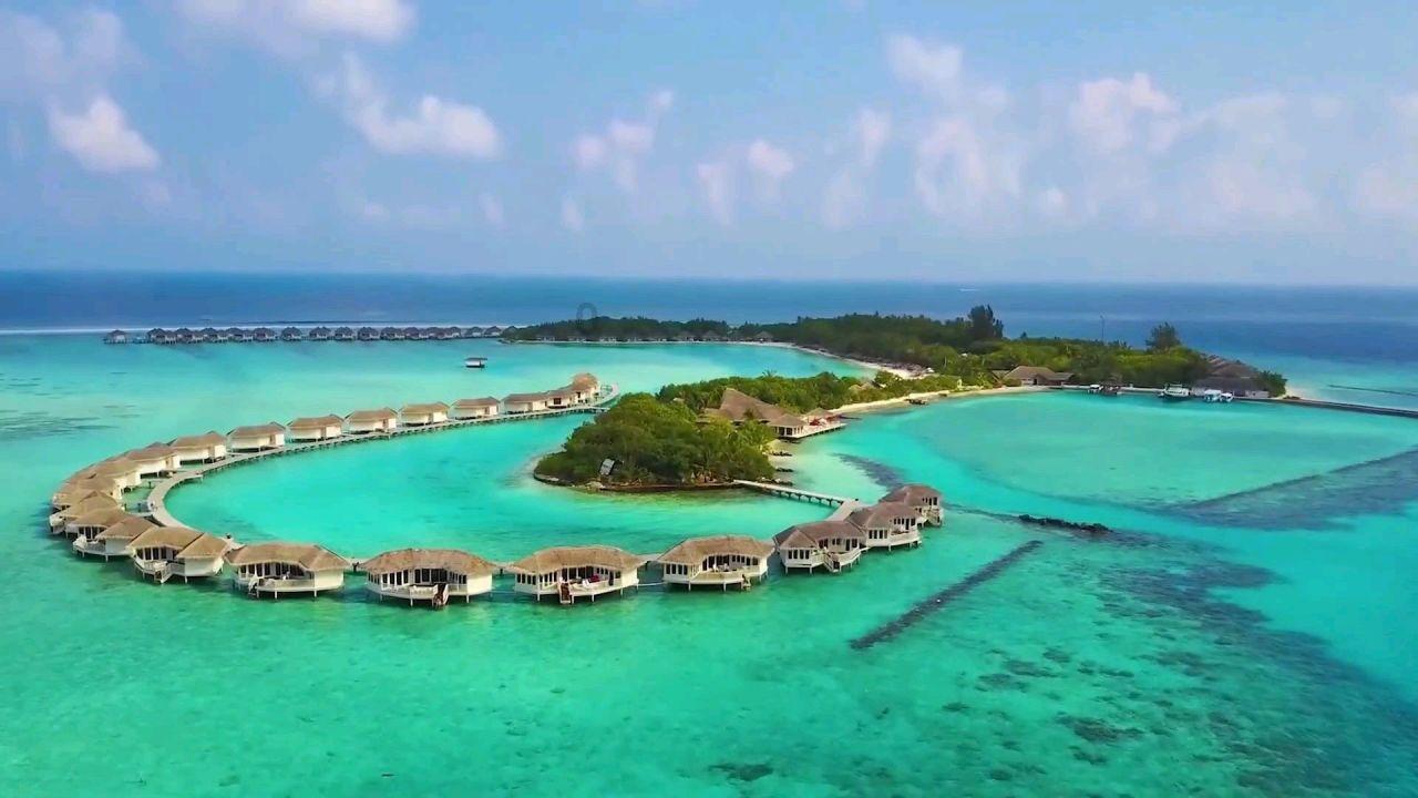 喉咙有异物感,咳出臭鸡蛋味小石头?可能是你的扁桃体结石了